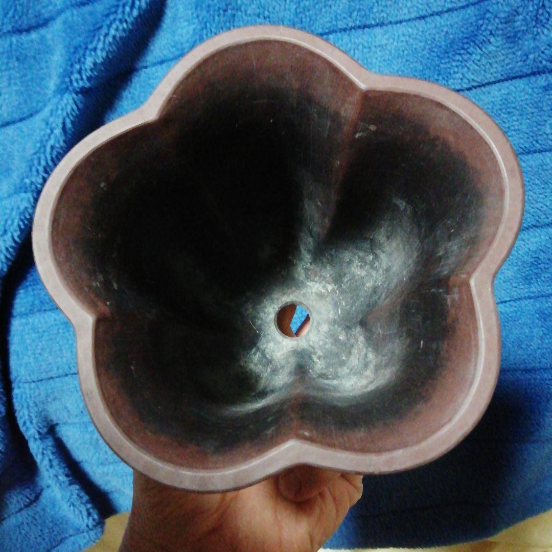 中国鉢、ミニ盆栽鉢、盆栽鉢、盆栽小鉢、鉢、植木鉢、山野草鉢、盆栽