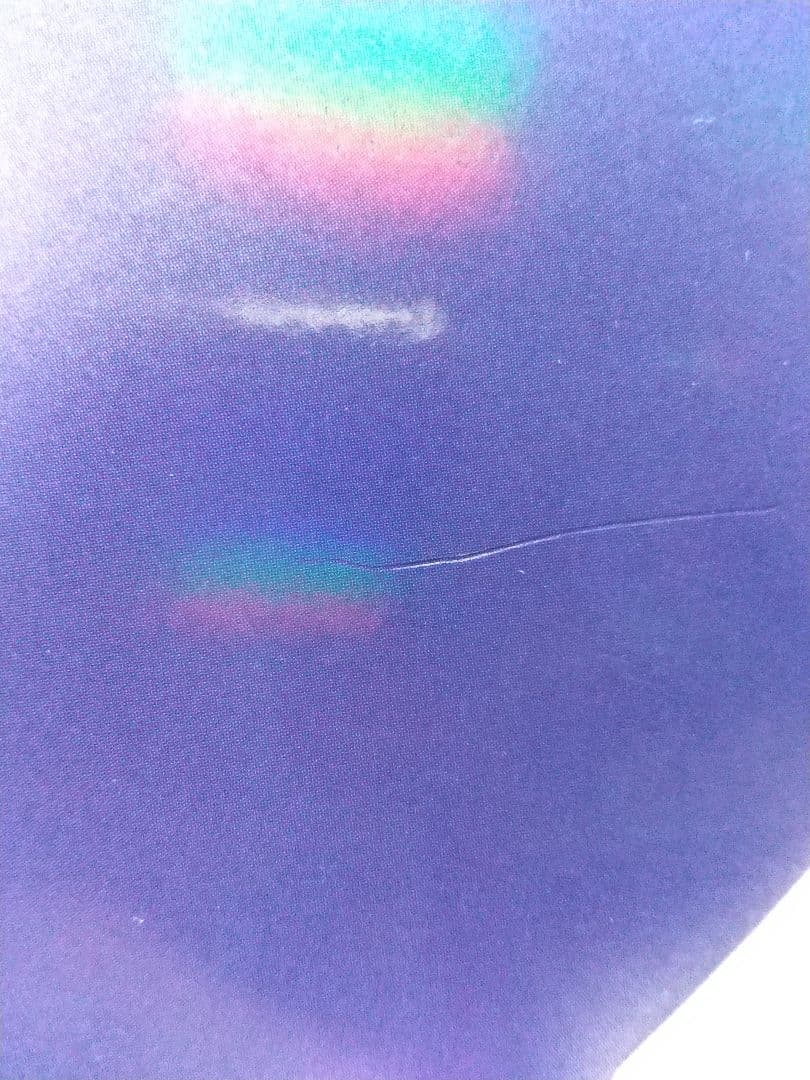 ミュウツーの逆襲 EVOLUTION パンフレット カード付き