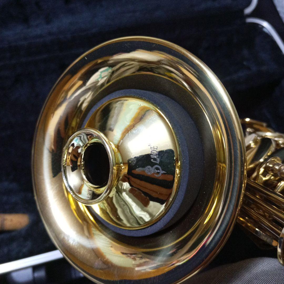 メーカー不明 アルトサックス本体 マウスピース ケース ミュート付き