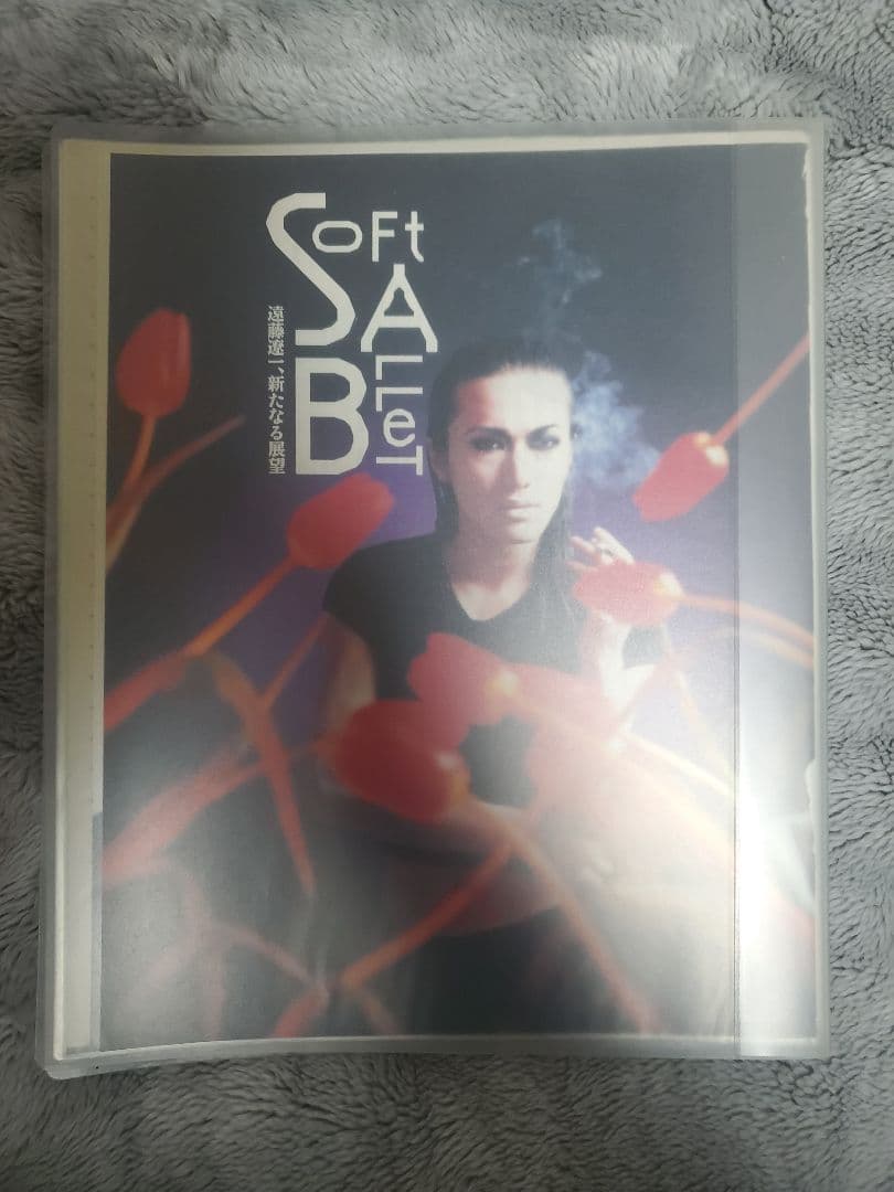 SOFT BALLET+ends雑誌切り抜き大量