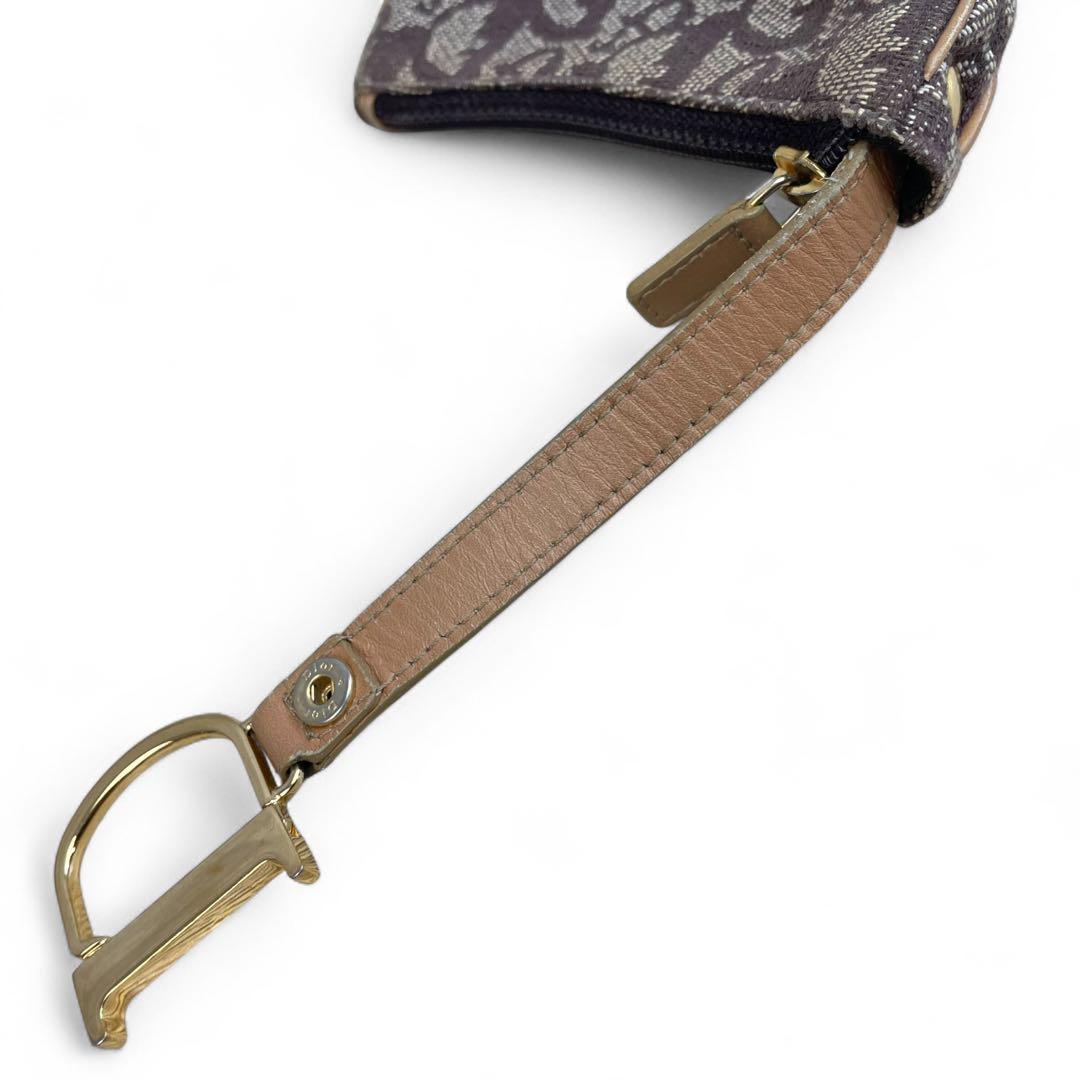 クリスチャンディオール　トロッター　サドル　ケース　ゴールド金具　ブラウン