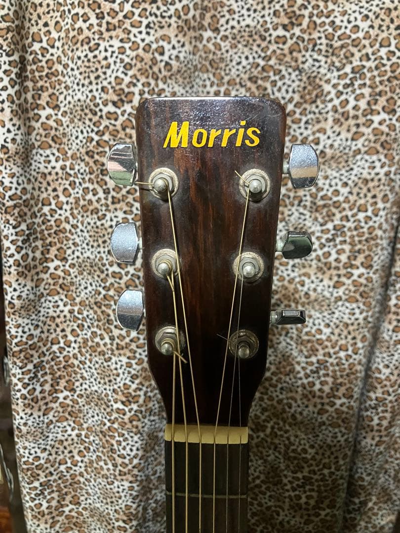 Morris モーリス アコースティックギター アコギ MD-508