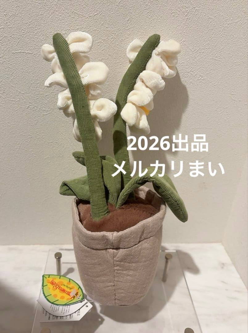  Amuseable Cream Orchid ぬいぐるみ　蘭