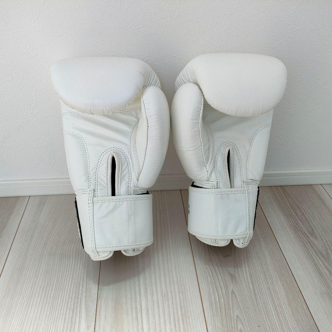 【美品✨】WESING/WINDY ボクシンググローブセット