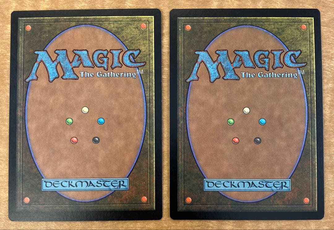 【2枚セット】錯乱した隠遁者　マジック：ザ・ギャザリング