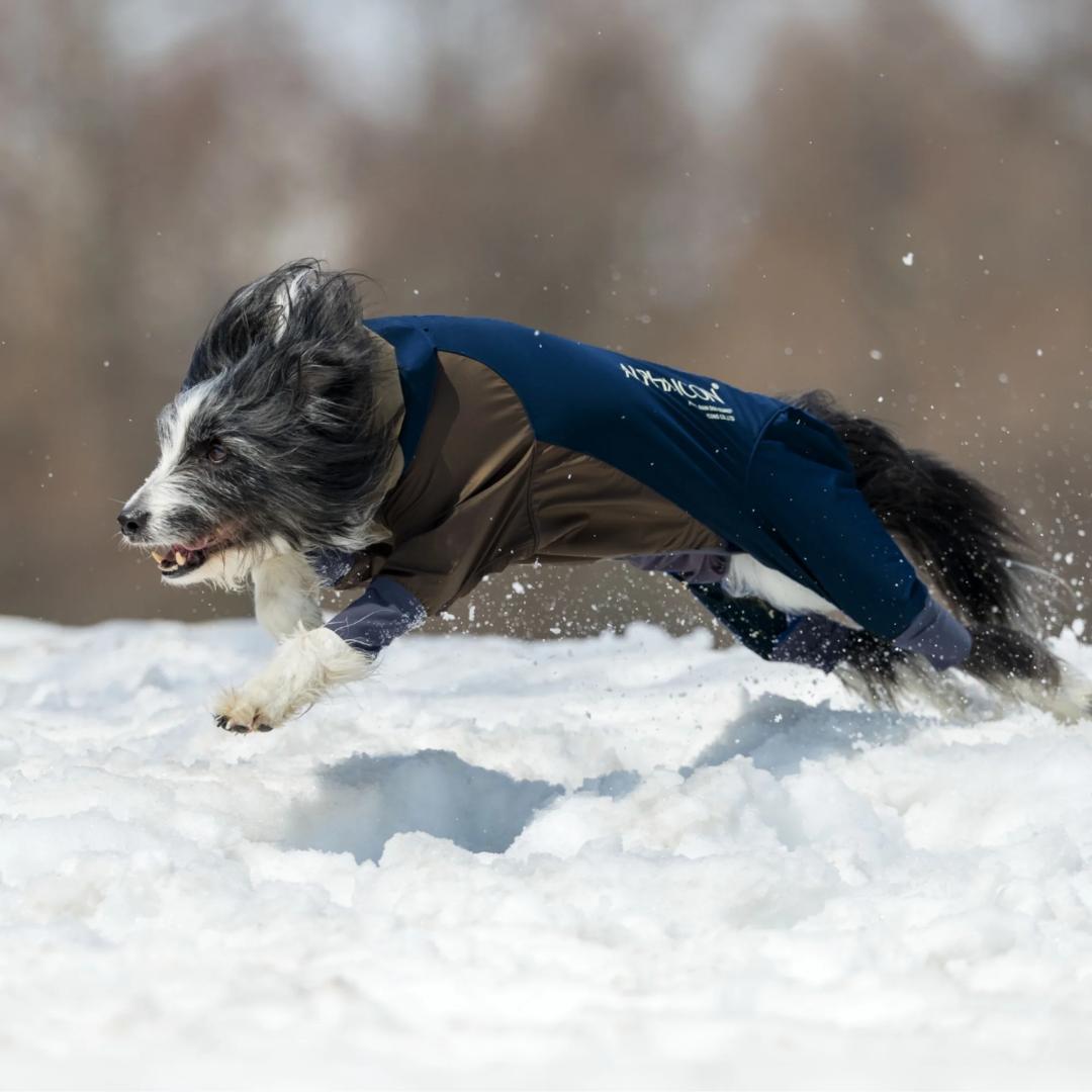 新品 アルファアイコン ALPHAICON スノードッグガード Sサイズ 犬服