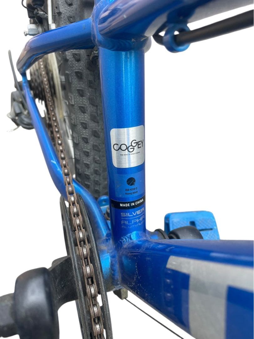 TREK 子供用自転車 PRECALIBER 20 ブルー