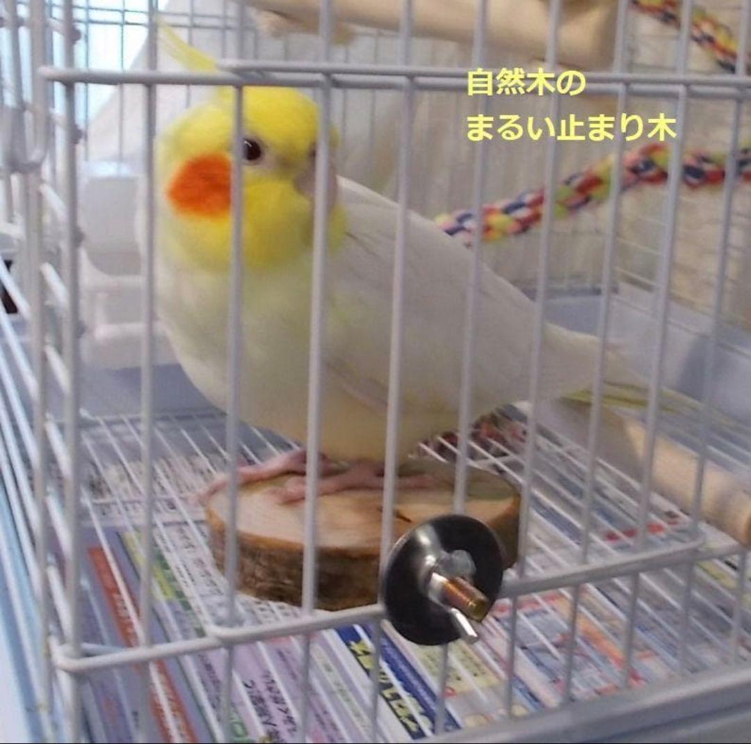 ハンドメイド インコのおもちゃ・止まり木 オーダーページ