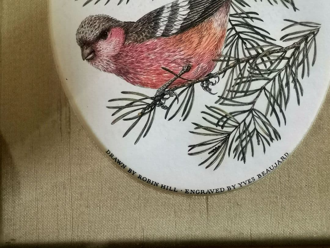 鳥の絵　絵画　YVES BEAUJARD