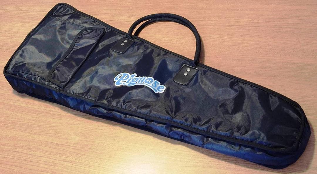 Pignose PGG-200 FM　スピーカー内蔵ギターのベストセラー！！