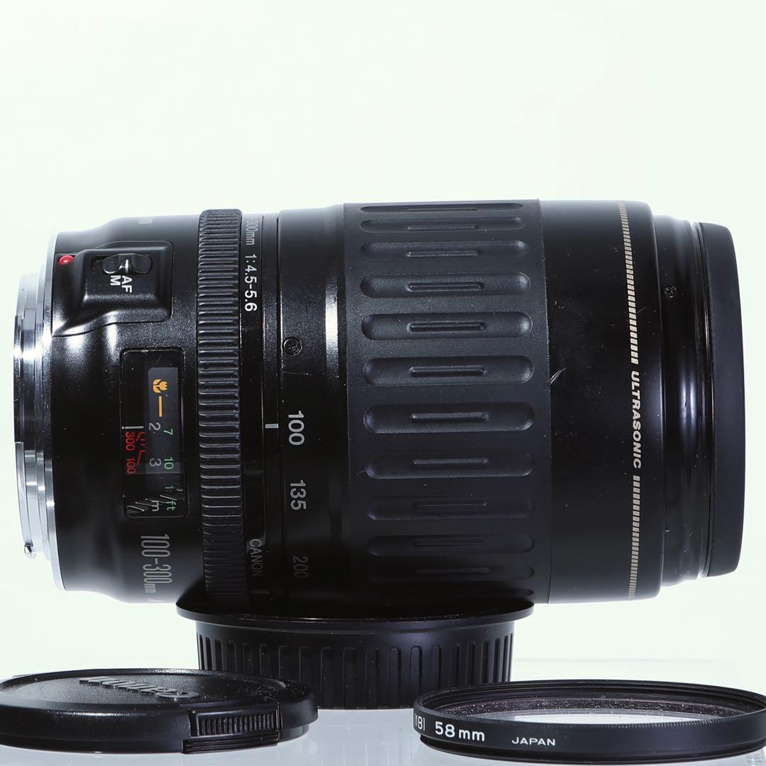 【完動品】Canon EF 100-300mm f/4.5-5.6 ズームレンズ
