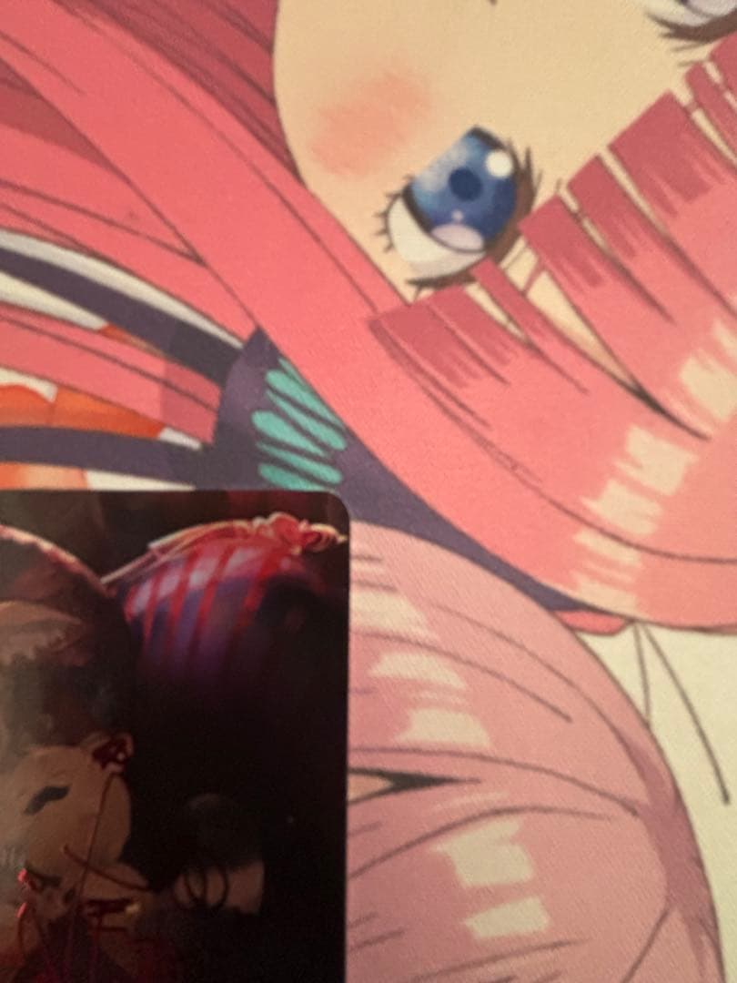 ホロカ　尾丸ポルカ　SEC