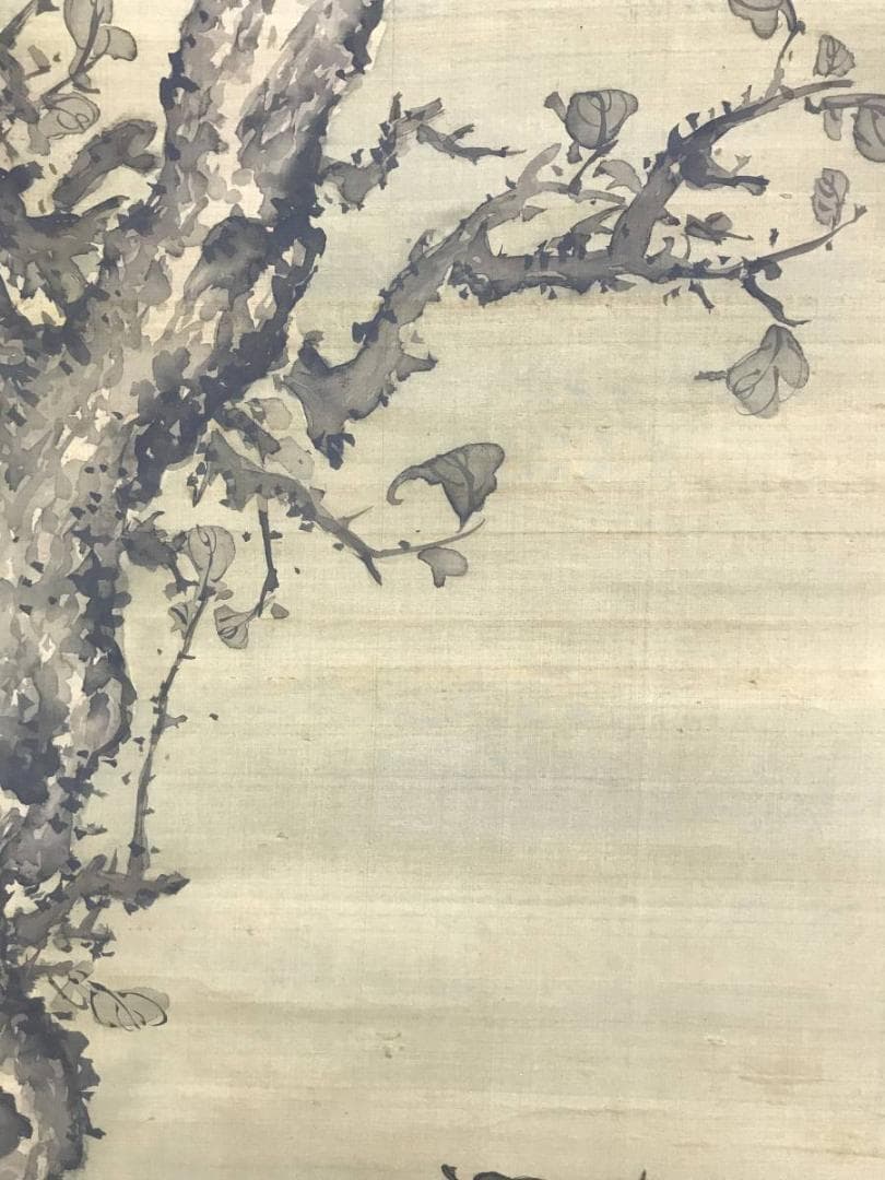 模写/小田海僊/百谷/鯉図/遊鯉図/游鯉図/掛軸/名家伝来AE-288