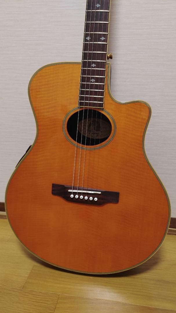 Epiphone El Rio (ケース付き)