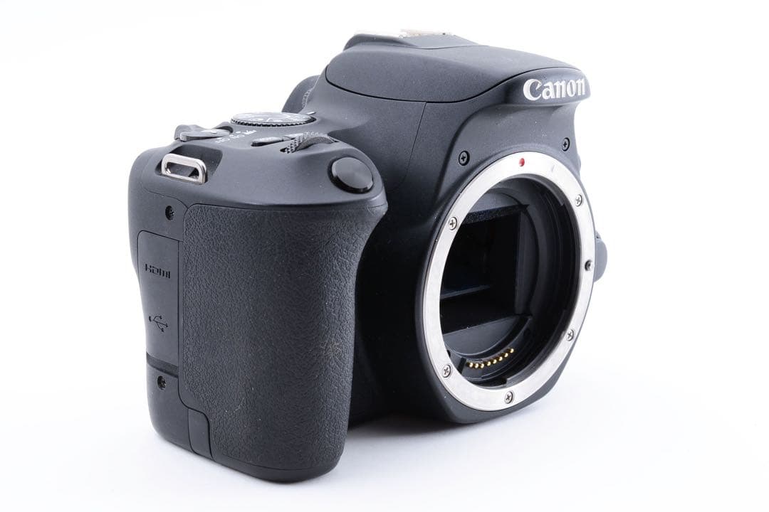 Canon EOS Kiss X9標準&望遠ダブルレンズセット