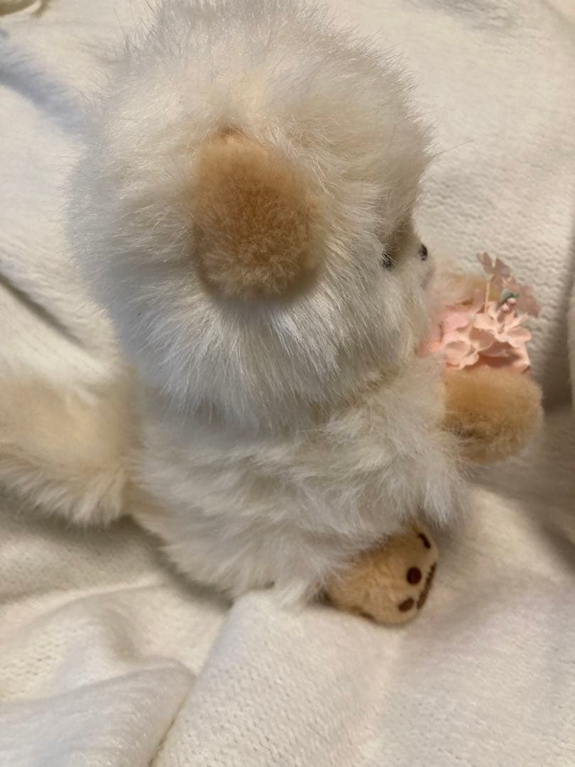 希少！オオイケぬいぐるみ