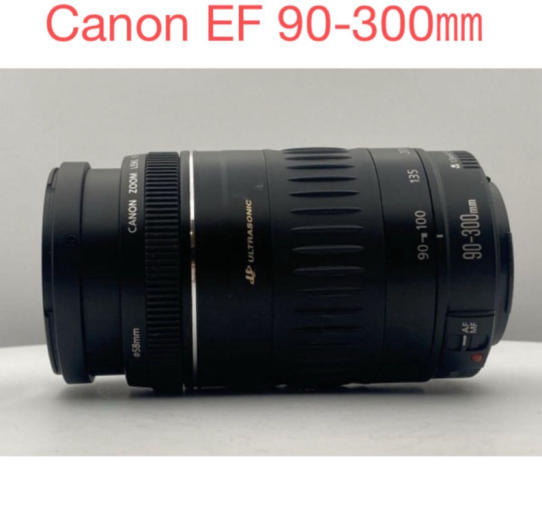 美品/望遠レンズ/Canon EF 90-300mm F4.5-5.6 USM
