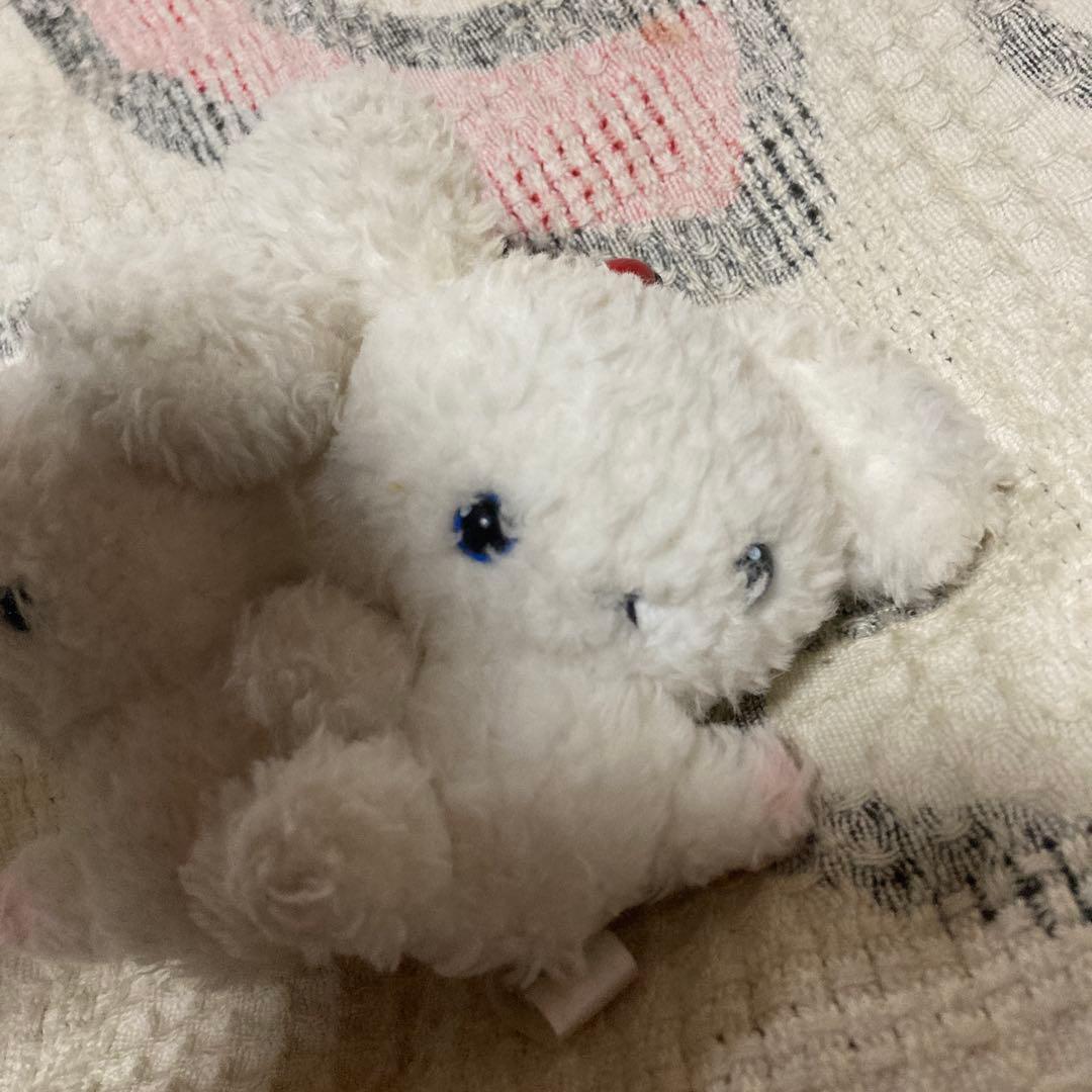 サンエックス　SAN-X ぶるぶるどっぐ　震えるぬいぐるみマスコット　中古品