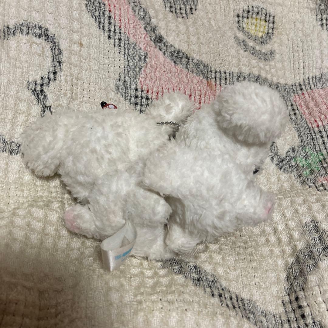 サンエックス　SAN-X ぶるぶるどっぐ　震えるぬいぐるみマスコット　中古品