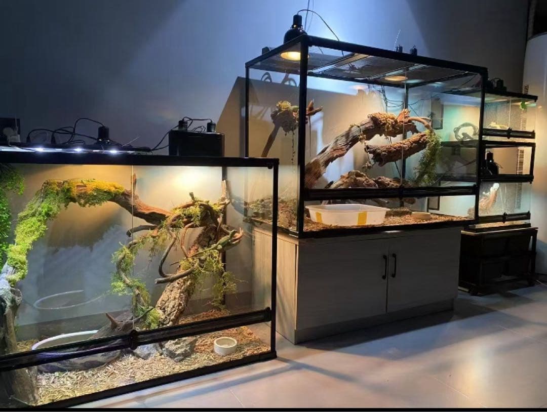 爬虫類両生類飼育ケージ組み立て式 ガラス飼育ケージ60x40x80cm引取り限定