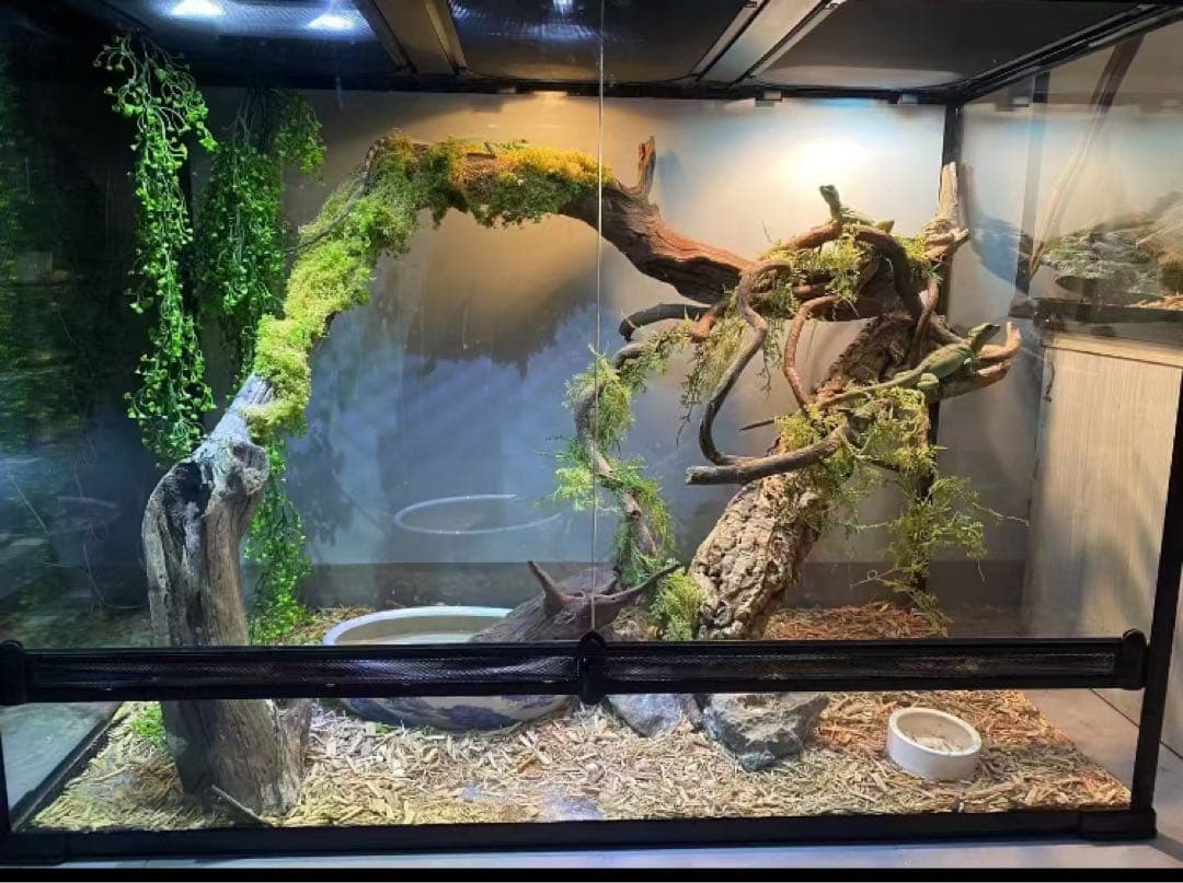 爬虫類両生類飼育ケージ組み立て式 ガラス飼育ケージ60x40x80cm引取り限定