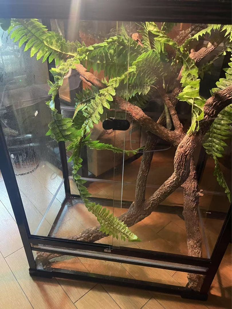 爬虫類両生類飼育ケージ組み立て式 ガラス飼育ケージ60x40x80cm引取り限定