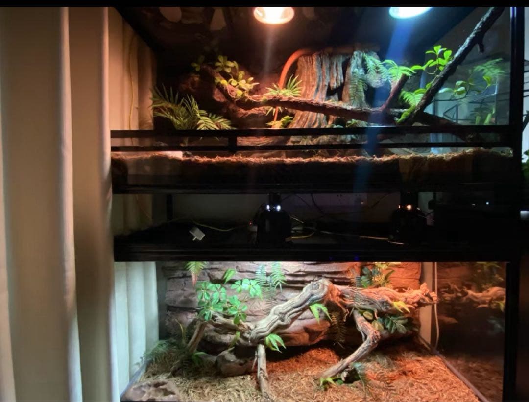 爬虫類両生類飼育ケージ組み立て式 ガラス飼育ケージ60x40x80cm引取り限定