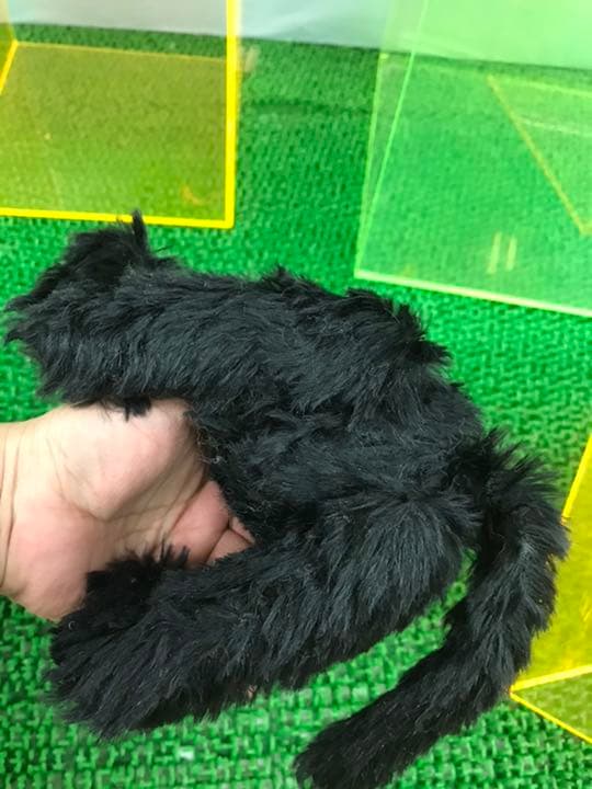 国内作家様の可愛い黒猫ゃんテディ5ジョイント　アンティーク品