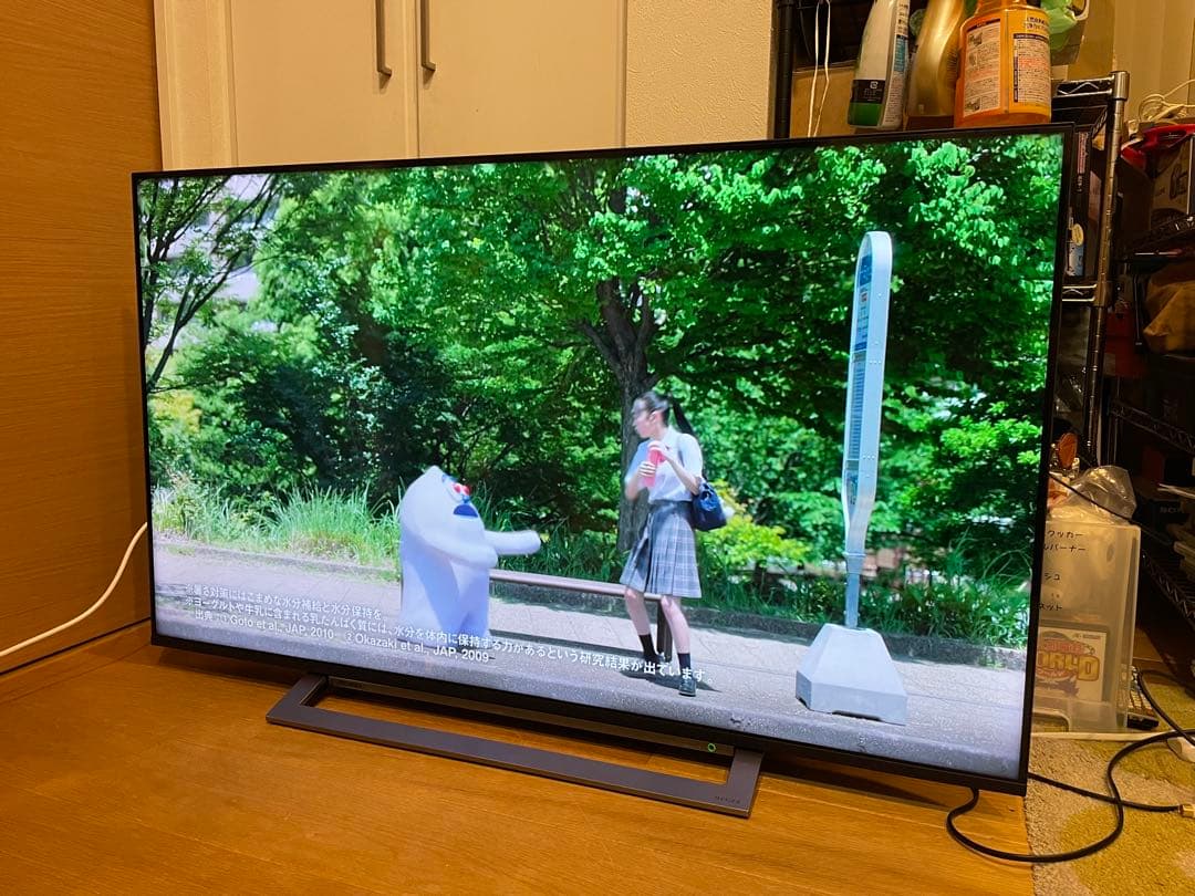 TOSHIBA REGZA 50M530X 4K液晶テレビ