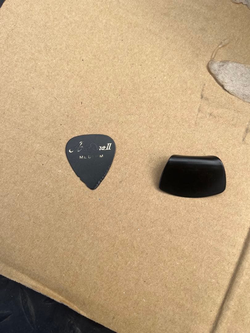 アコースティックギター ハードケース付き