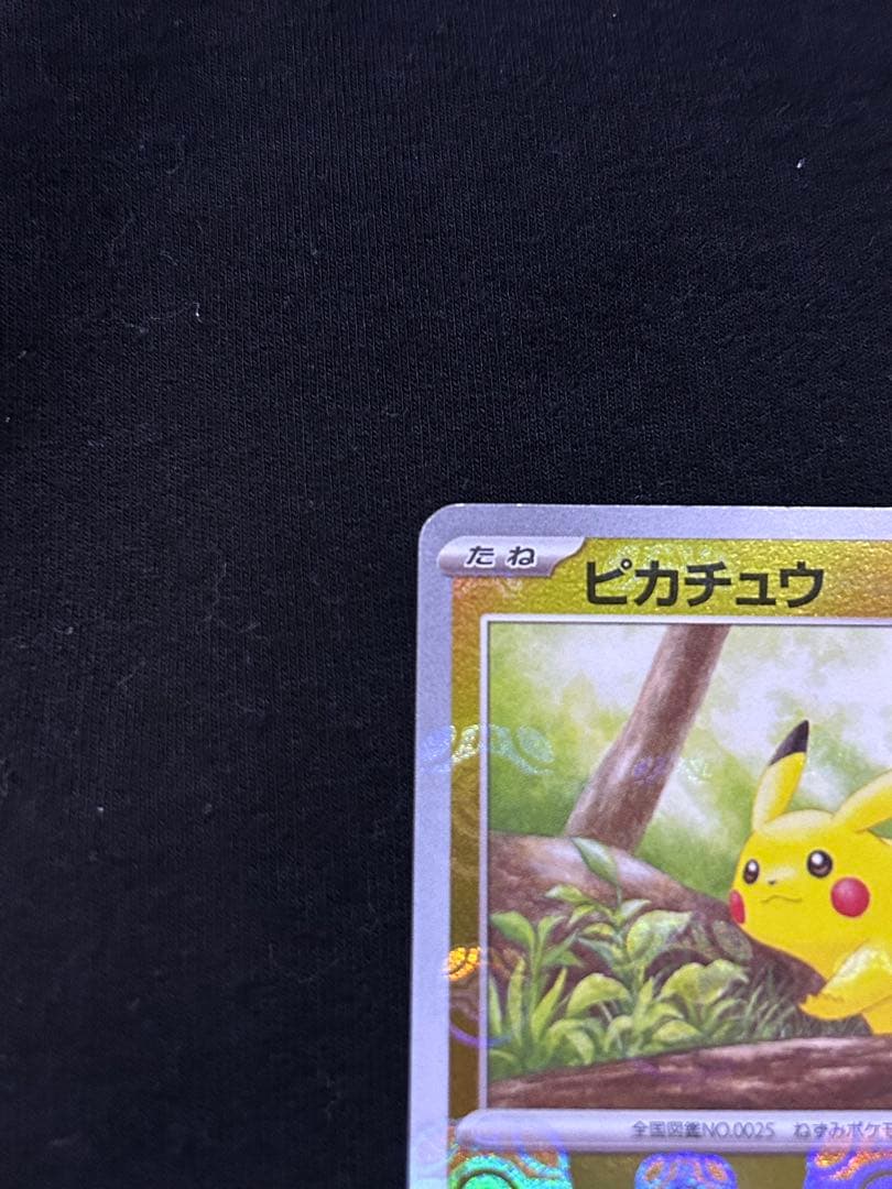 ピカチュウマスターボールミラー