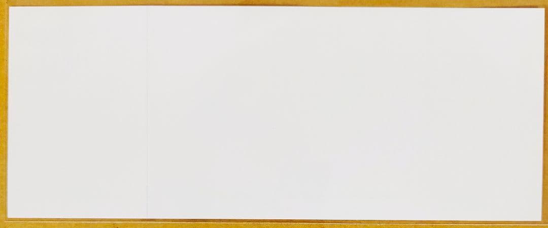 アイカツ　劇場版　映画　入場者特典　大空あかり　星宮いちご　レプリカチケット