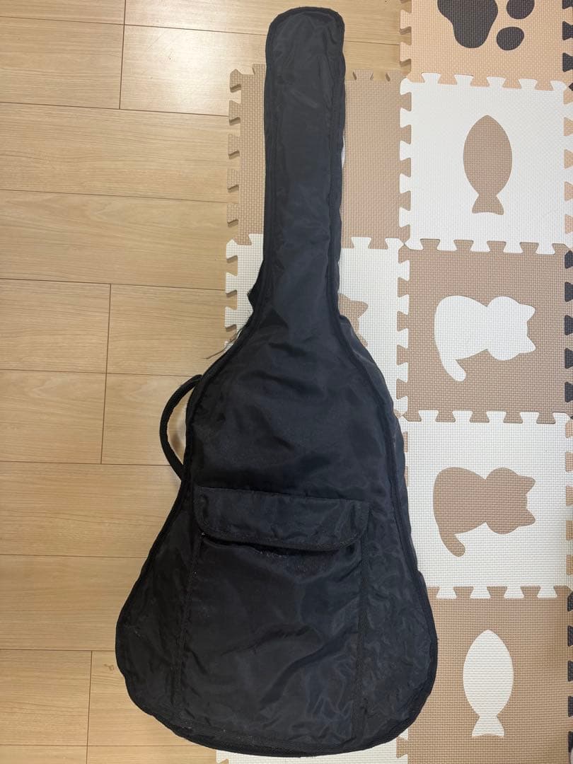 cat's eyesアコースティックギター　ソフトケース付き