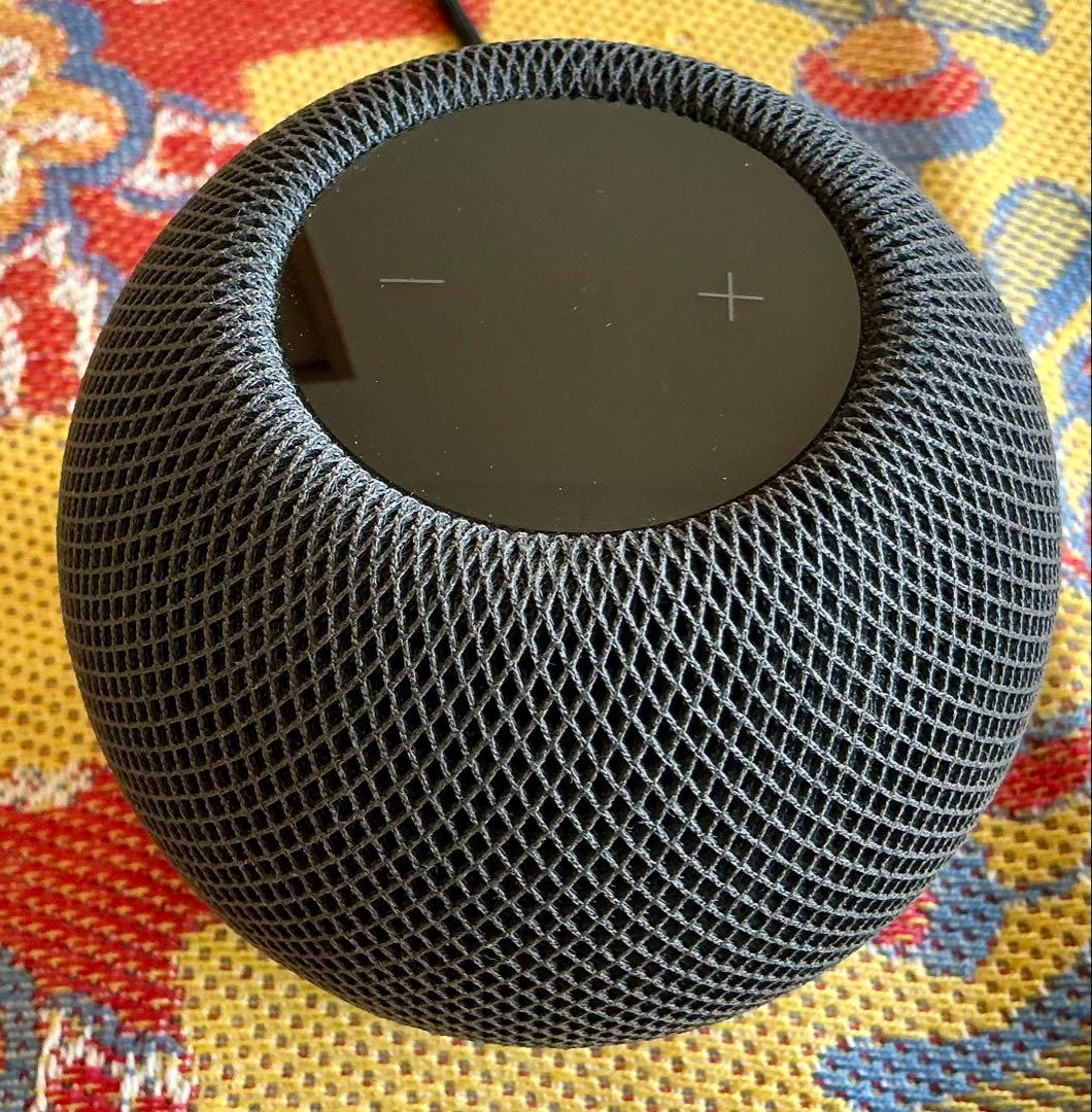 Apple Pod mini スペースグレー/保証残有り