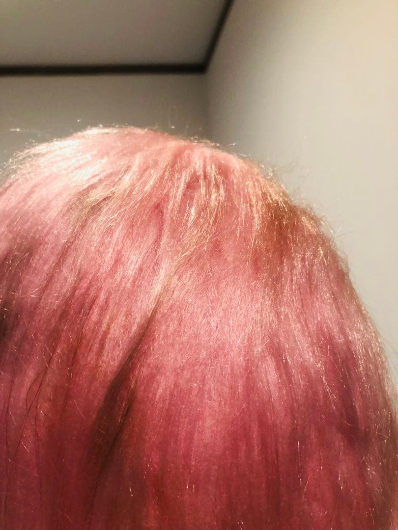 美品）昭和レトロ お手入れワンちゃん クシ付き