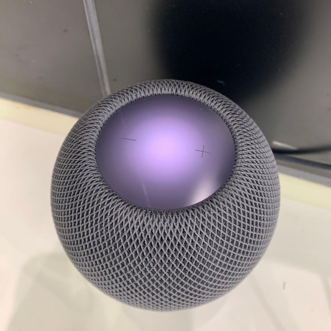 アダプタ付き Apple Pod mini スペースグレー 本体