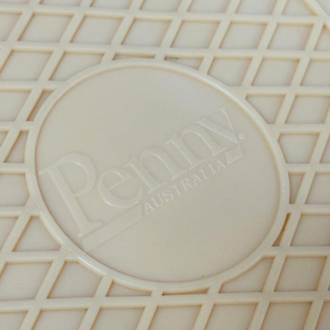 Penny 22インチ スケートボード コンプリート　BONE