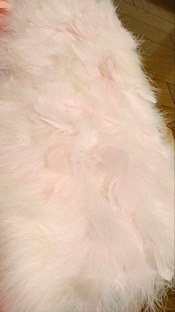 振袖（緑）、袴、（茶色）、帯（黒金）、フェザーショール（白、ピンク）その他。