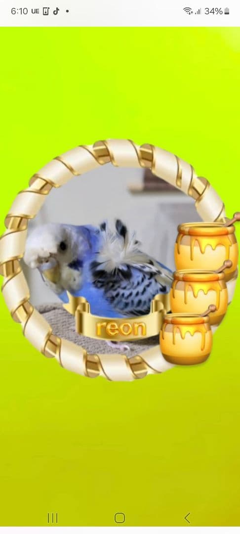 かわいいアクアちゃん