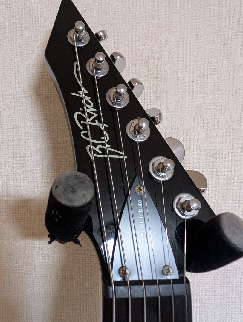 ギター Stealth (chuck schuldiner tribute)