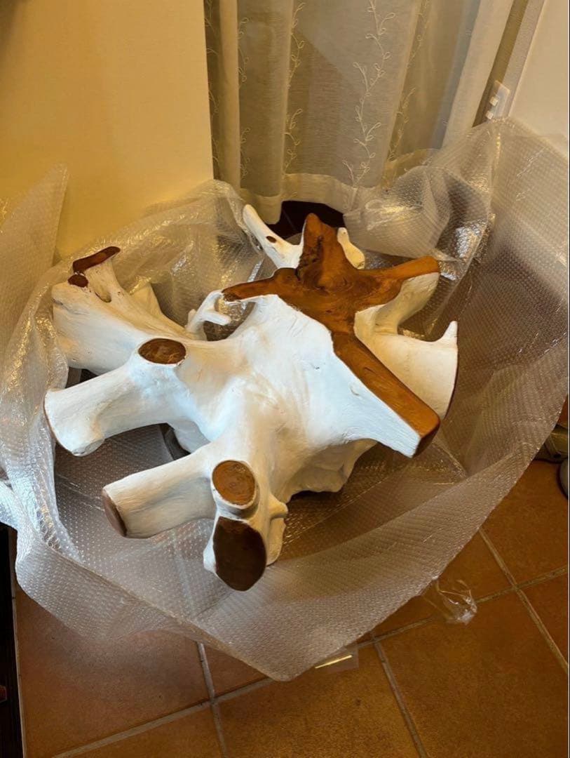 【ぽん】kaja 古木ルーツテーブル（Φ80）(ホワイトカラー)