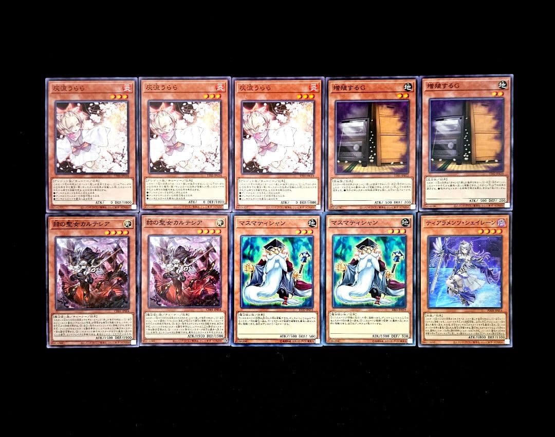 遊戯王 【本格構築‼️】シャドール 構築済みデッキ‼️ ターミナルワールド3