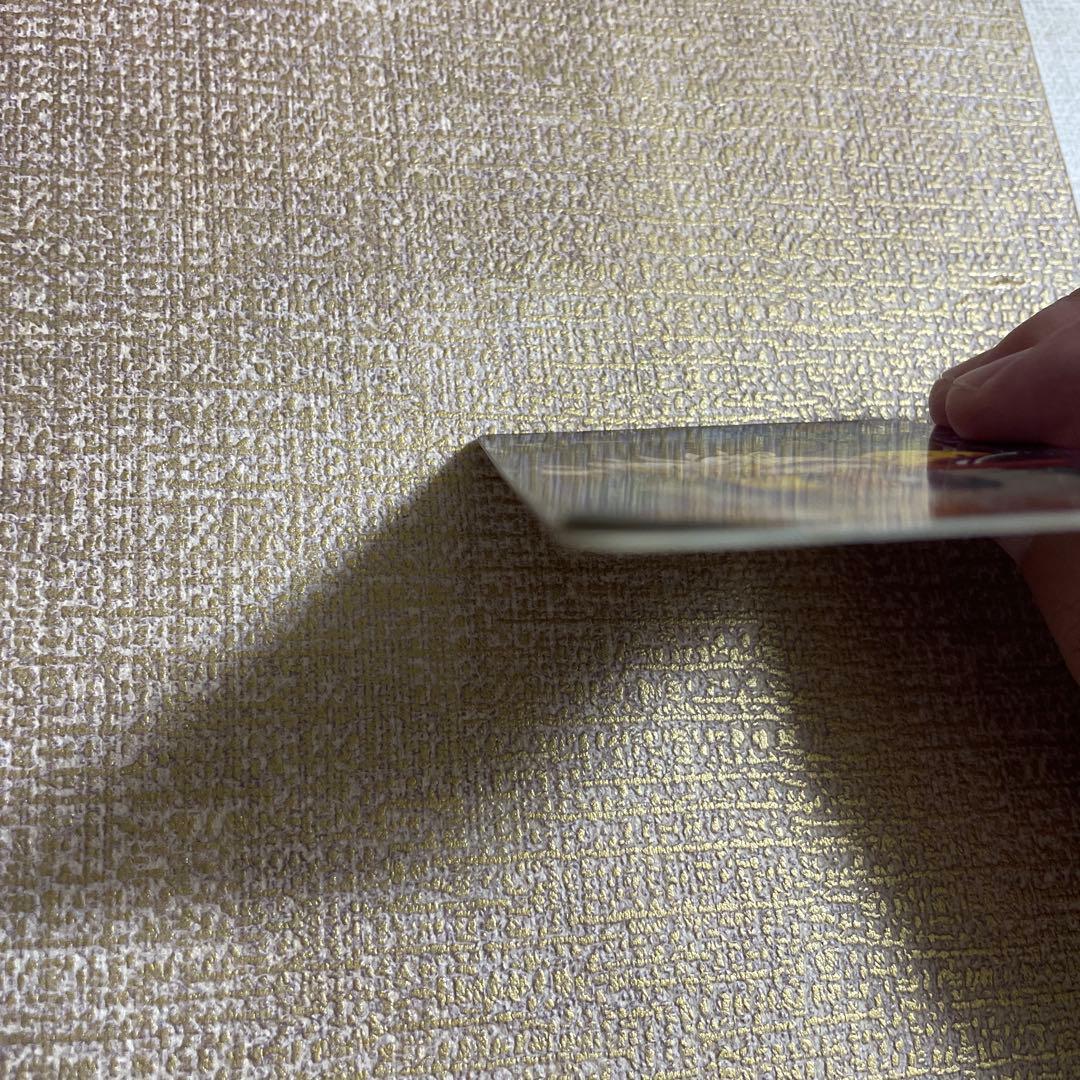 究極博 1994 ご招待券 孫悟空 カードダス