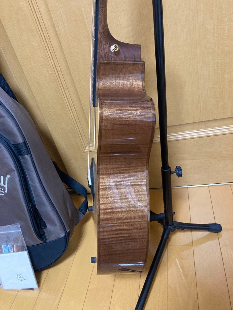 headway hoc-northbird 美品　ヘッドウェイ　アコースティック