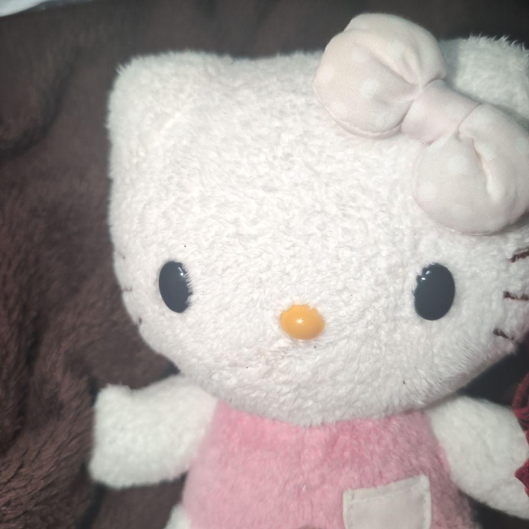 ハローキティ　vivitixgirls 　ヒョウ柄　 お皿 トレイ ぬいぐるみ