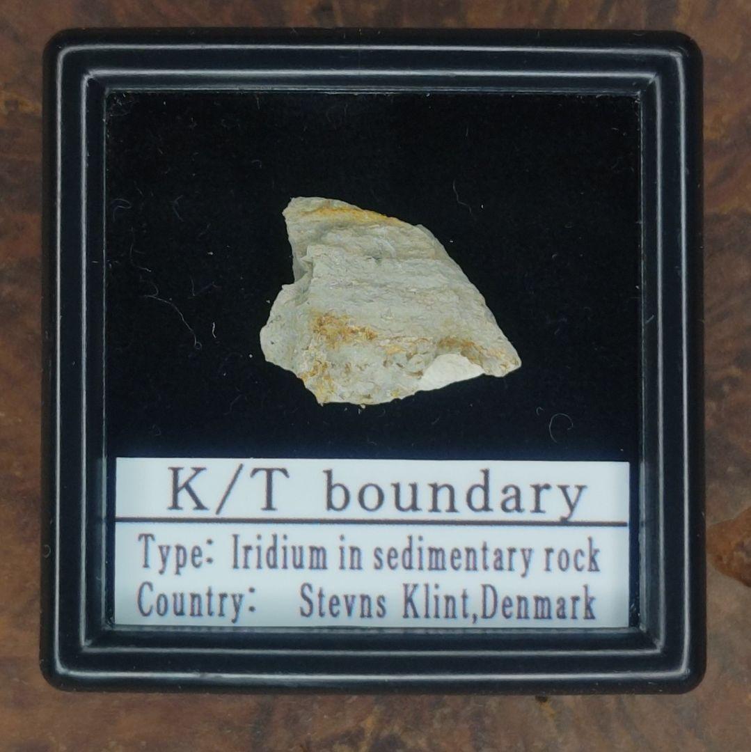入手不可！小惑星のかけら Ｋ-Ｔ境界層（K/Pg境界頁岩）　標本