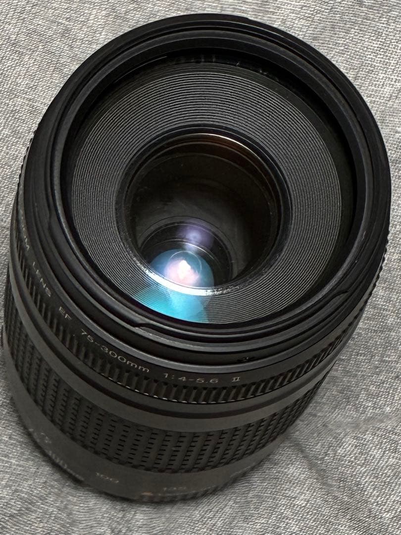 ⭐️美品⭐️Canon EF 75-300mm F/4-5.6 II 望遠レンズ