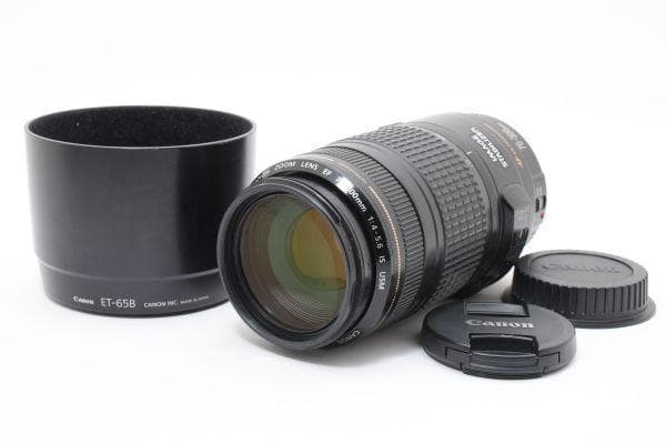 ★美品★キヤノン EF 70-300mm F4-5.6 IS USM #624