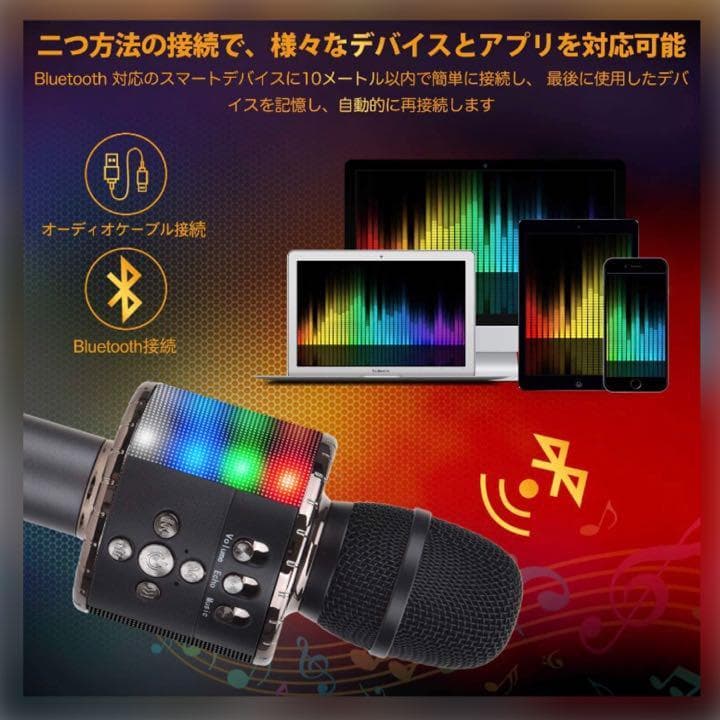 ❤自宅でカラオケ練習OK❣プロが練習用にも使用する本格派♪❤カラオケマイク