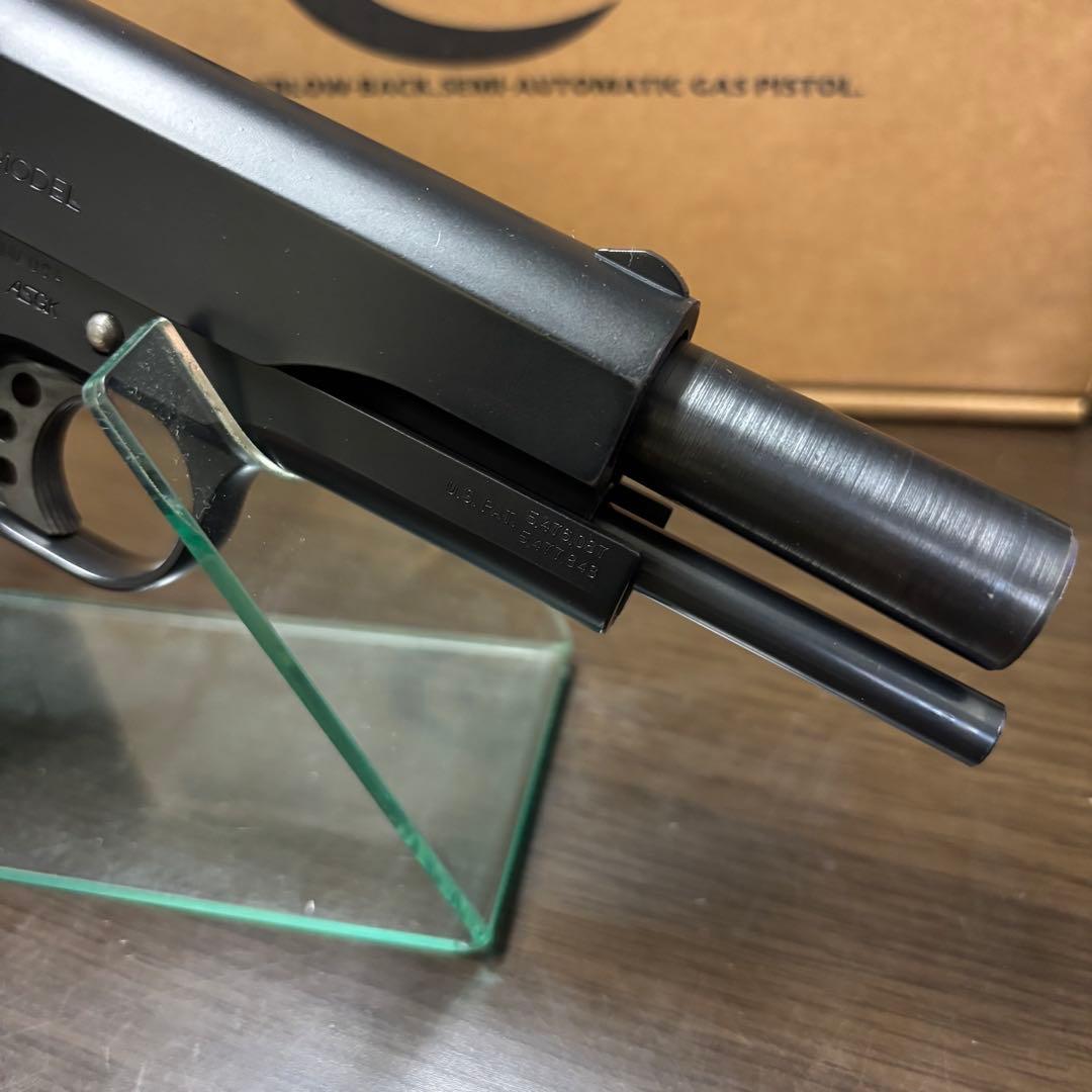 テントウコルトガバメント